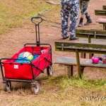 0146 OEF 2018
